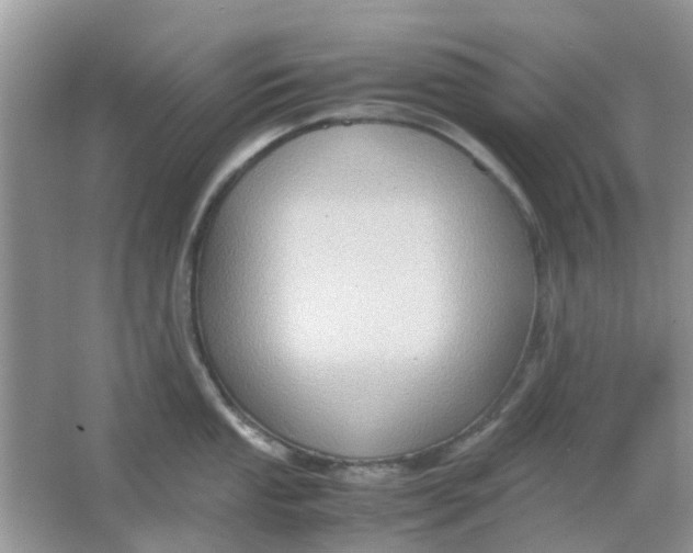 X0000065961053200603241842