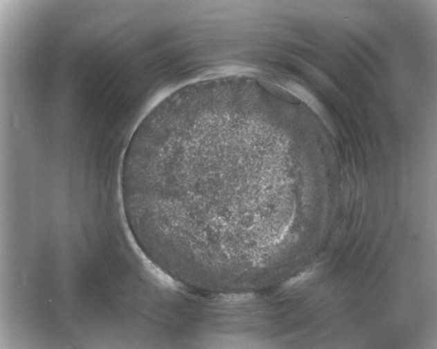 X0000065961055200603241842