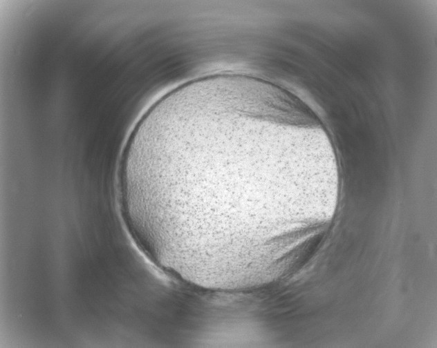 X0000065961056200603241842