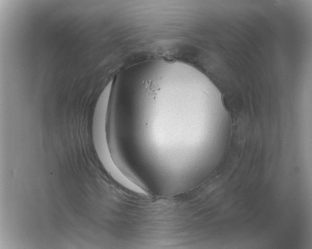 X0000065961058200603241841