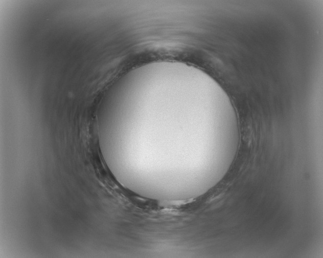 X0000065961061200603241841