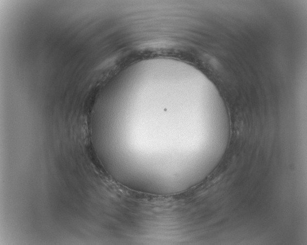 X0000065961062200603241841