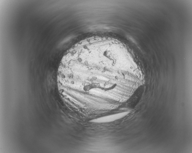 X0000065961063200603241841