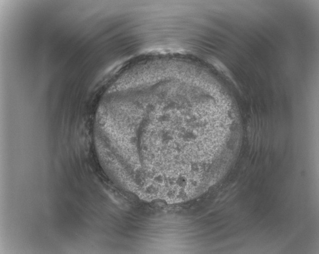 X0000065961064200603241841