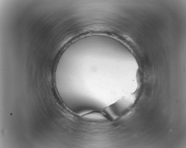 X0000065961065200603241841