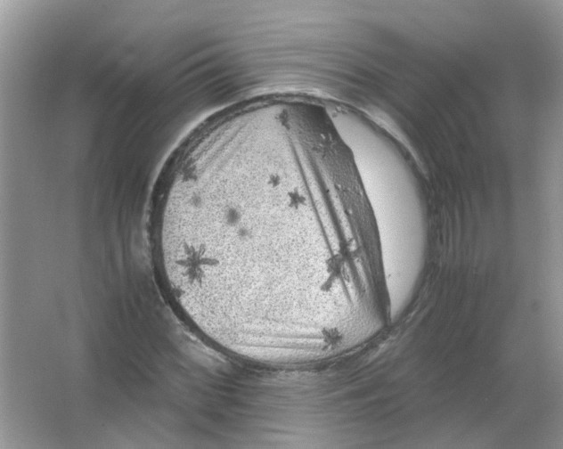 X0000065961068200603241841