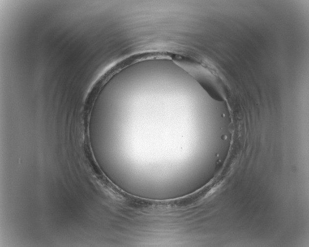 X0000065961069200603241841