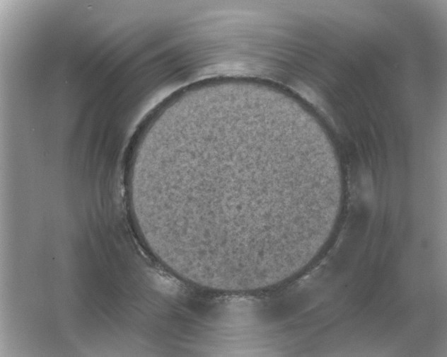 X0000065961070200603241841