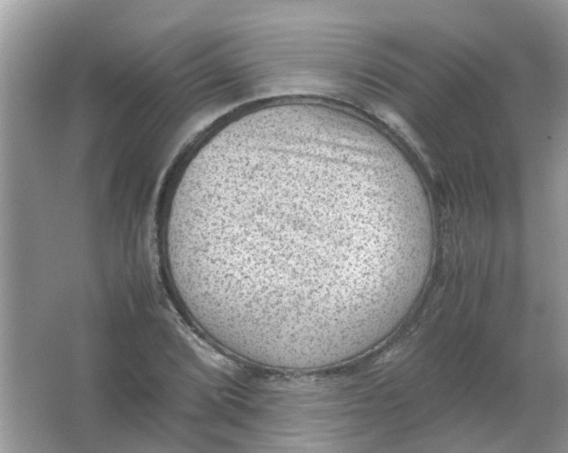 X0000065961072200603241841