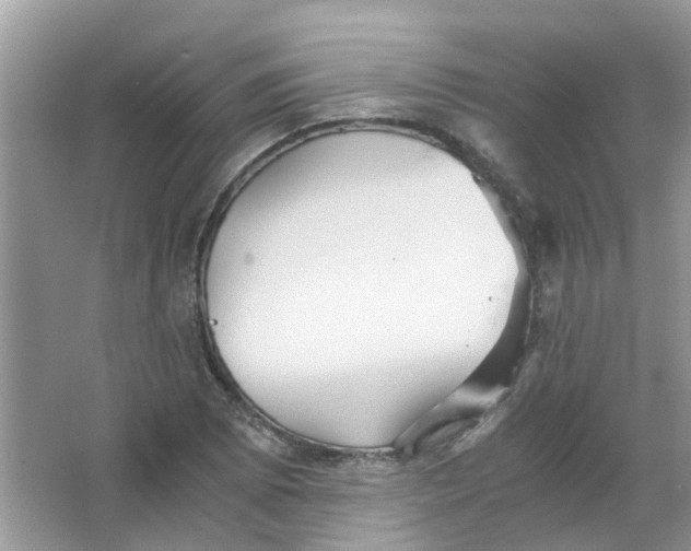 X0000065961073200603241841