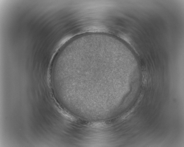 X0000065961074200603241841