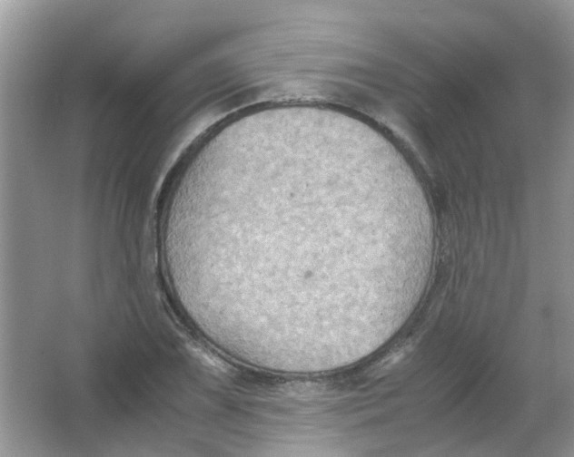 X0000065961075200603241841