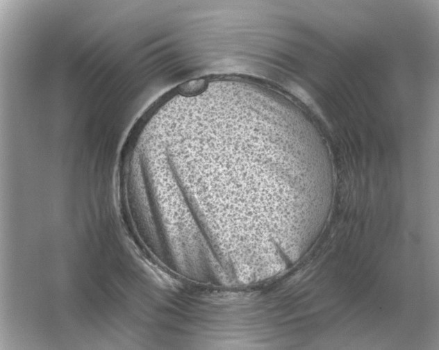 X0000065961076200603241841