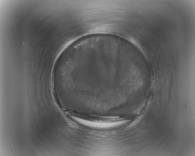 X0000065961077200603241841