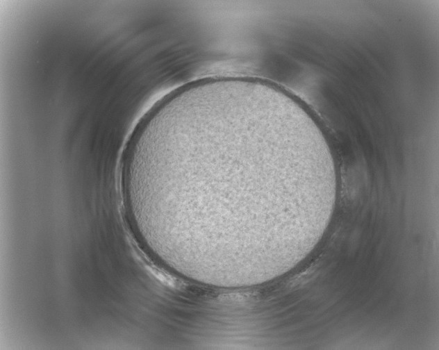 X0000065961078200603241841