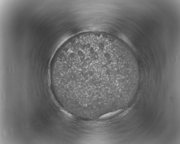 X0000065961079200603241841