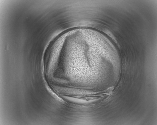 X0000065961080200603241841