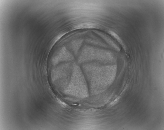 X0000065961081200603241841