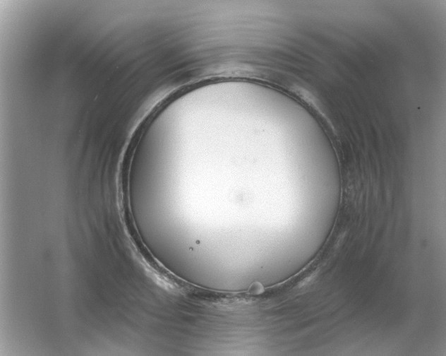 X0000065961082200603241841