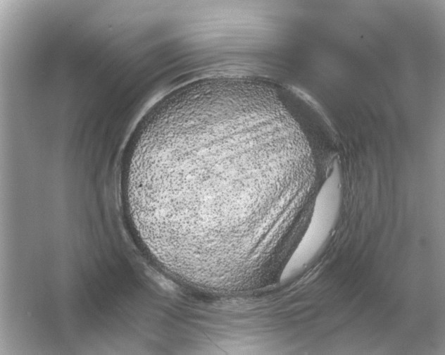 X0000065961083200603241841