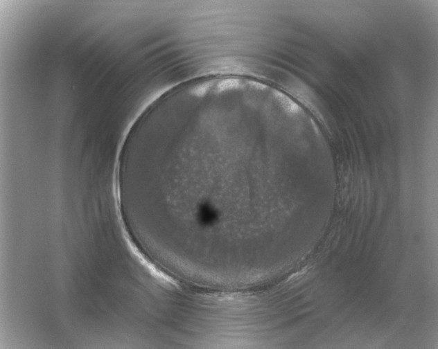 X0000065961084200603241841