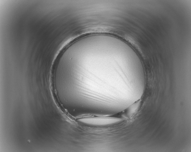 X0000065961085200603241841