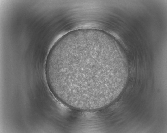 X0000065961086200603241841