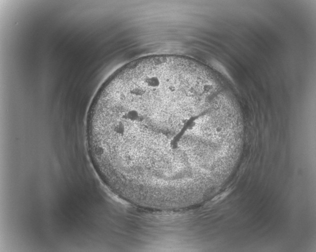 X0000065961087200603241841