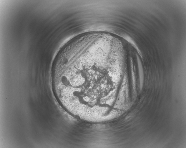 X0000065961088200603241841