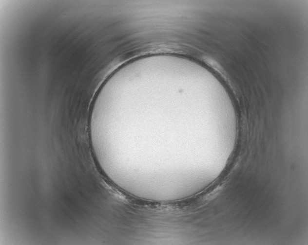 X0000065961089200603241841