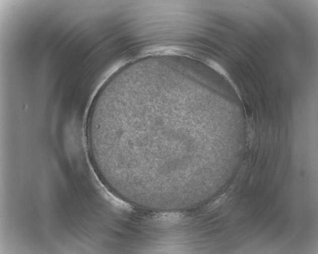 X0000065961090200603241841