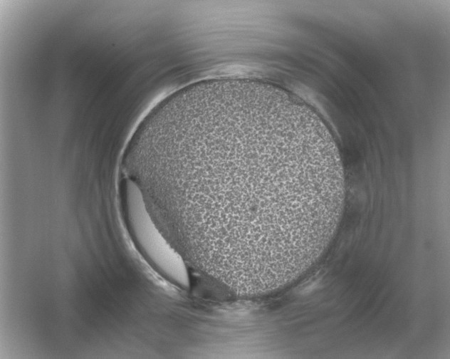 X0000065961091200603241841