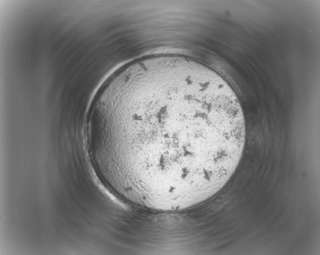 X0000065961092200603241841