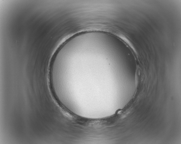 X0000065961093200603241841