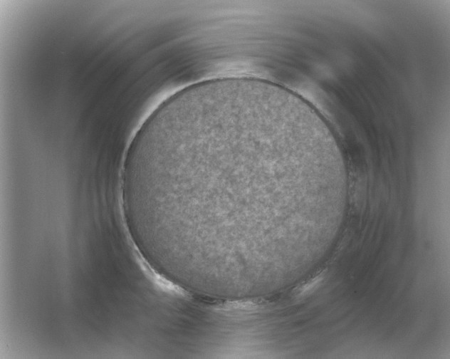 X0000065961094200603241841