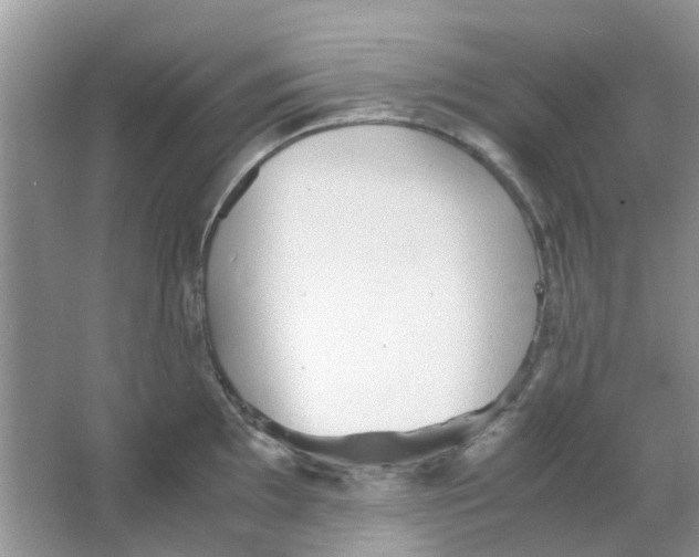 X0000065961097200603241841