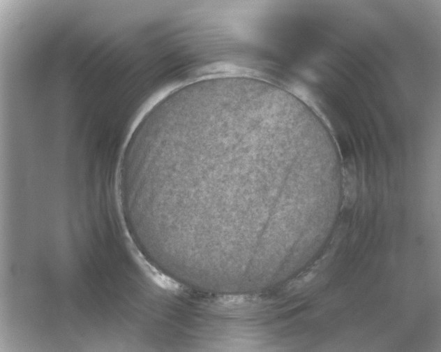 X0000065961098200603241841