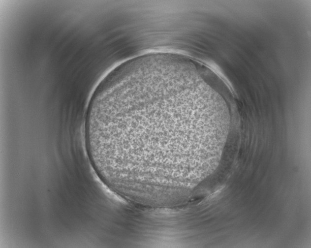 X0000065961100200603241841