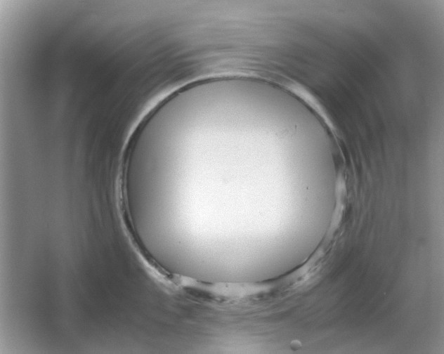 X0000065961101200603241840