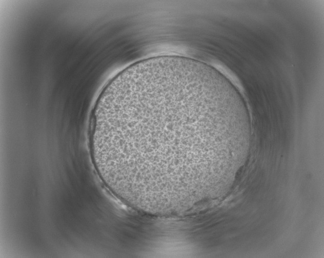 X0000065961104200603241840