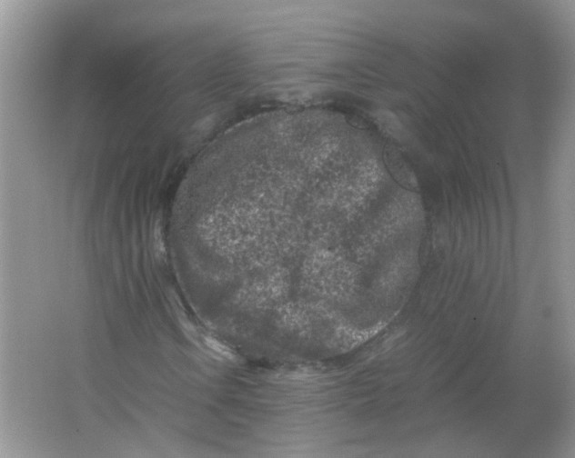 X0000065961106200603241840