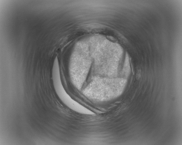 X0000065961108200603241840