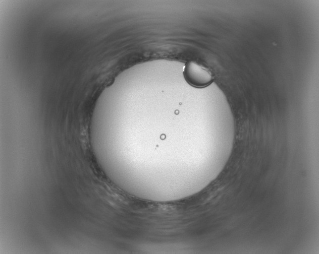 X0000065961109200603241840