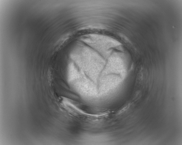 X0000065961110200603241840