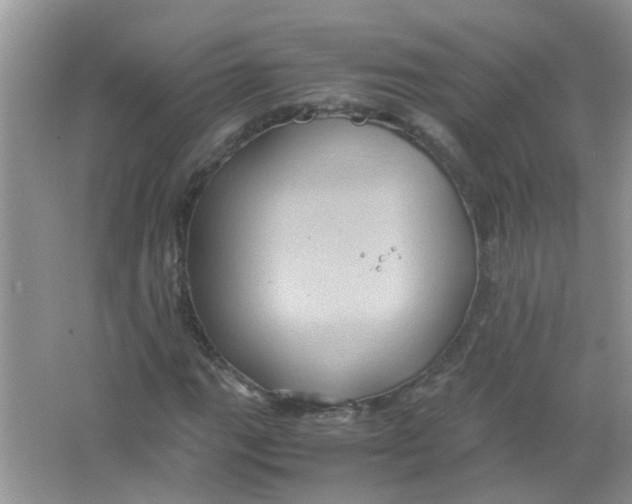 X0000065961111200603241840