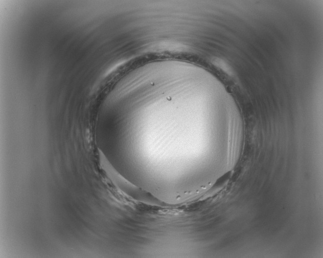 X0000065961112200603241840