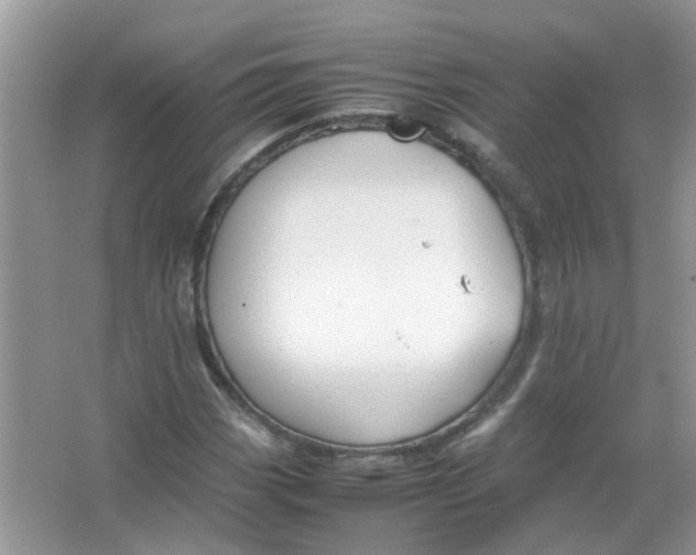 X0000065961113200603241840