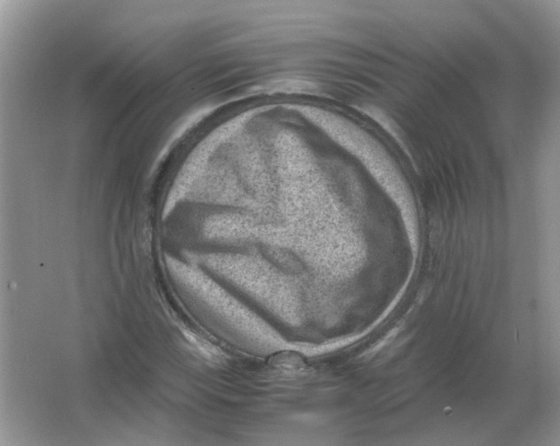 X0000065961115200603241840