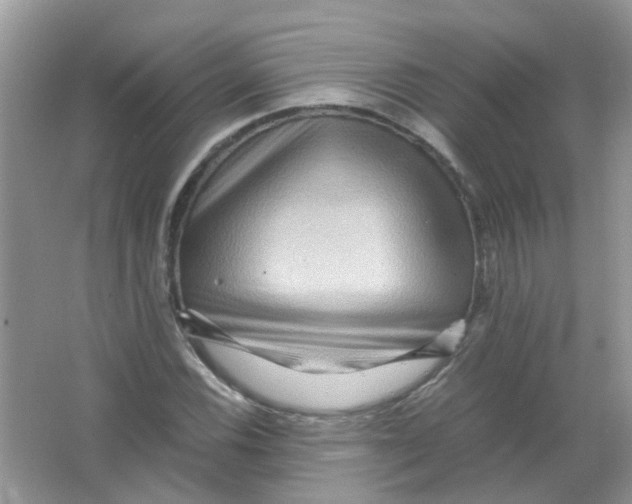 X0000065961116200603241840