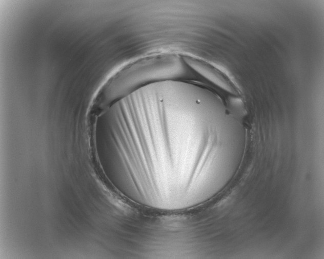 X0000065961118200603241840